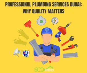 Professional Plumbing Services Dubai